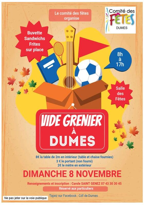Vide Grenier à Dumes