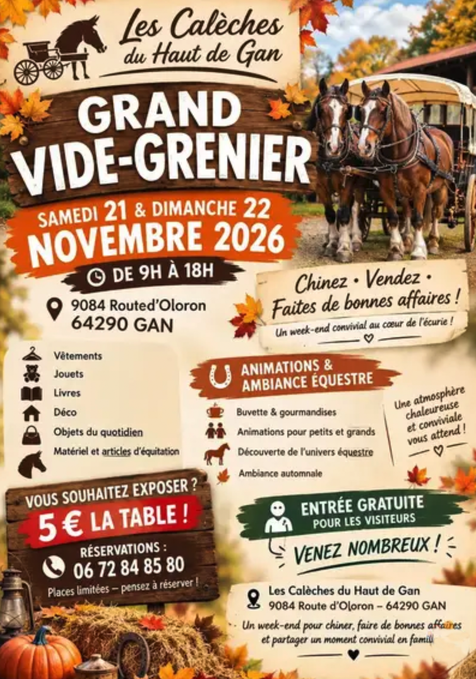 Vide grenier à Gan