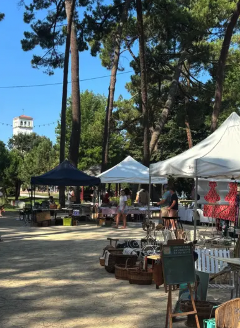 Brocante du mardi au jardin public à Hossegor à Soorts-Hossegor