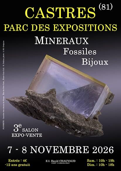 3e SALON MINERAUX FOSSILES BIJOUX de CASTRES (Tarn)