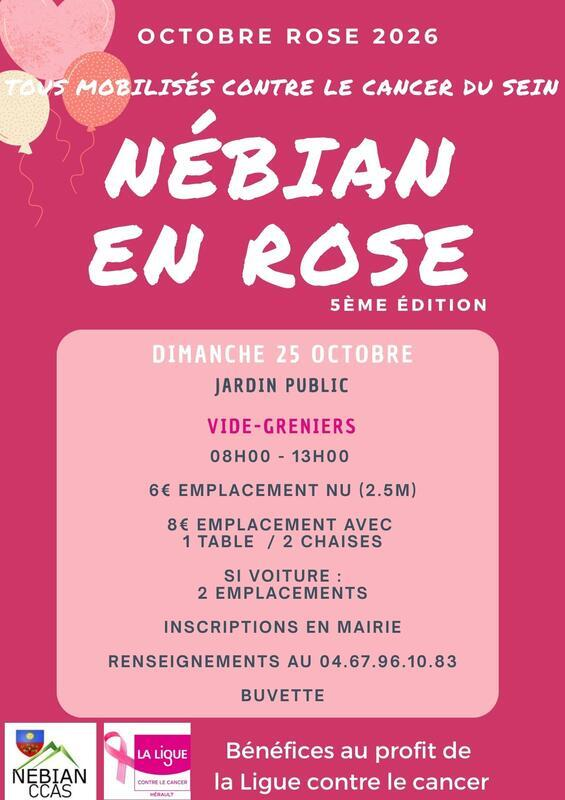 VIDE GRENIER à Nébian